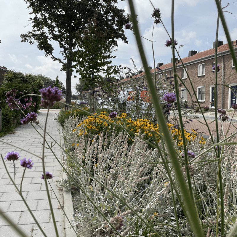 Verzorg gemeentegroen