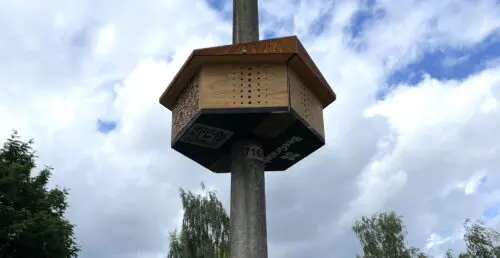 Bijzondere bijenhotels in Krimpen