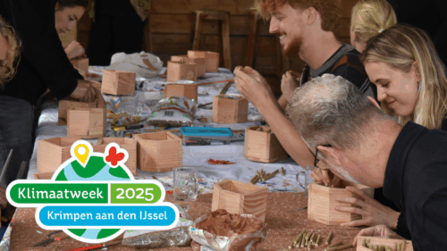 Insectenhotel maken