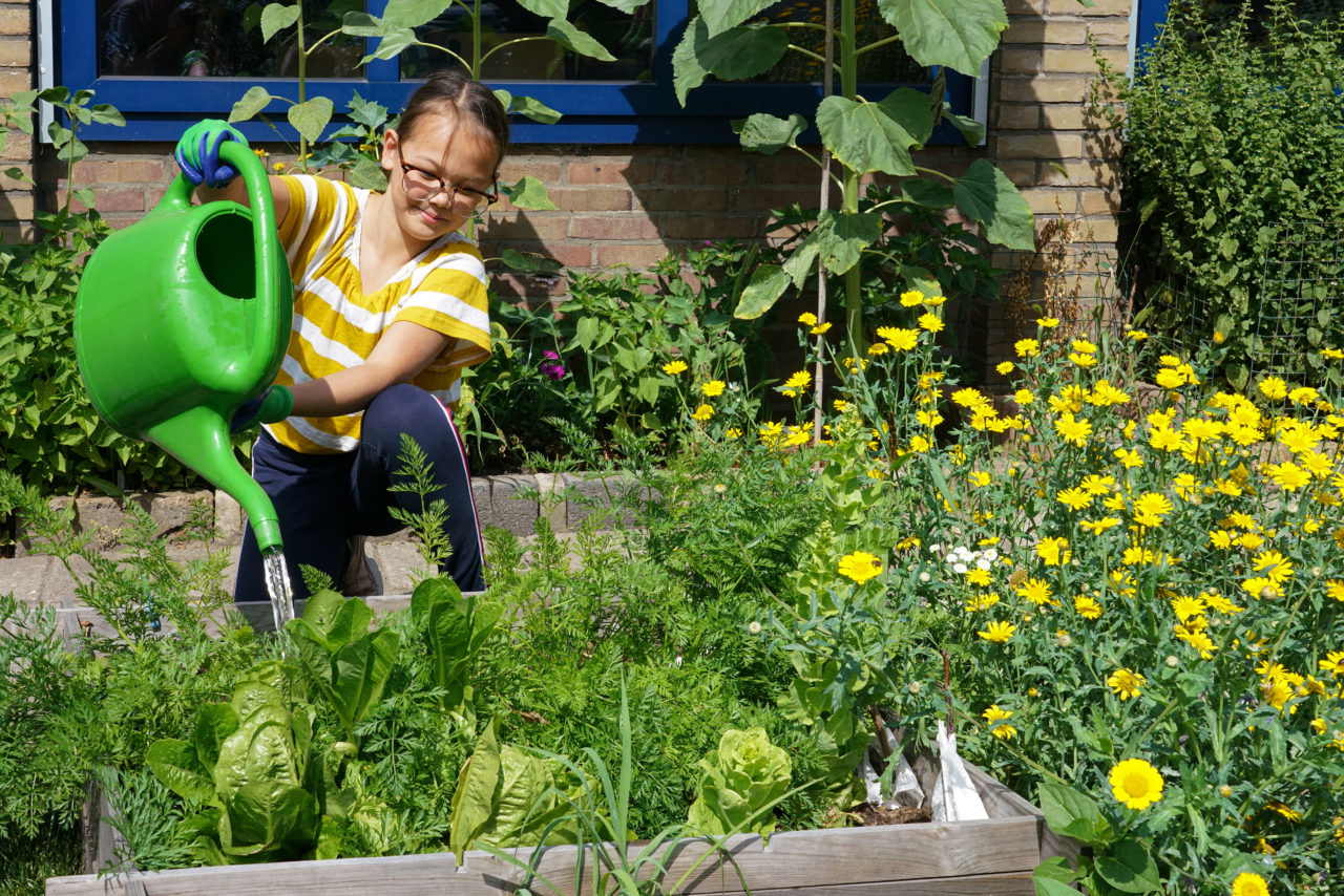 Meisje met een bril geeft met een gieter water aan de planten in de tuin.