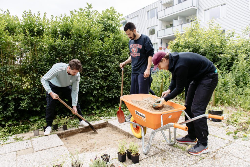 Doe mee met het NK Tegelwippen in Krimpen aan den IJssel en vergroen je tuin. 