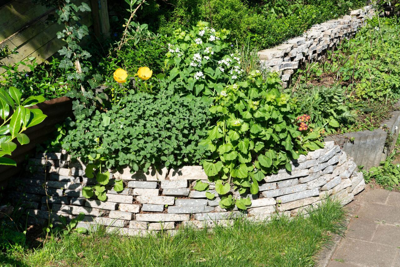 Stapelmuur met planten van hergebruikte tegels.