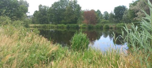 Voedselbos in de Krimpenerhout