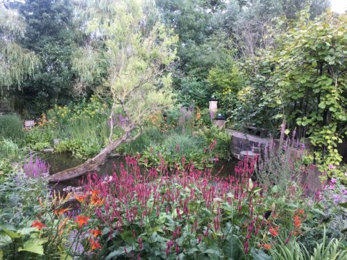 Open Tuinendag